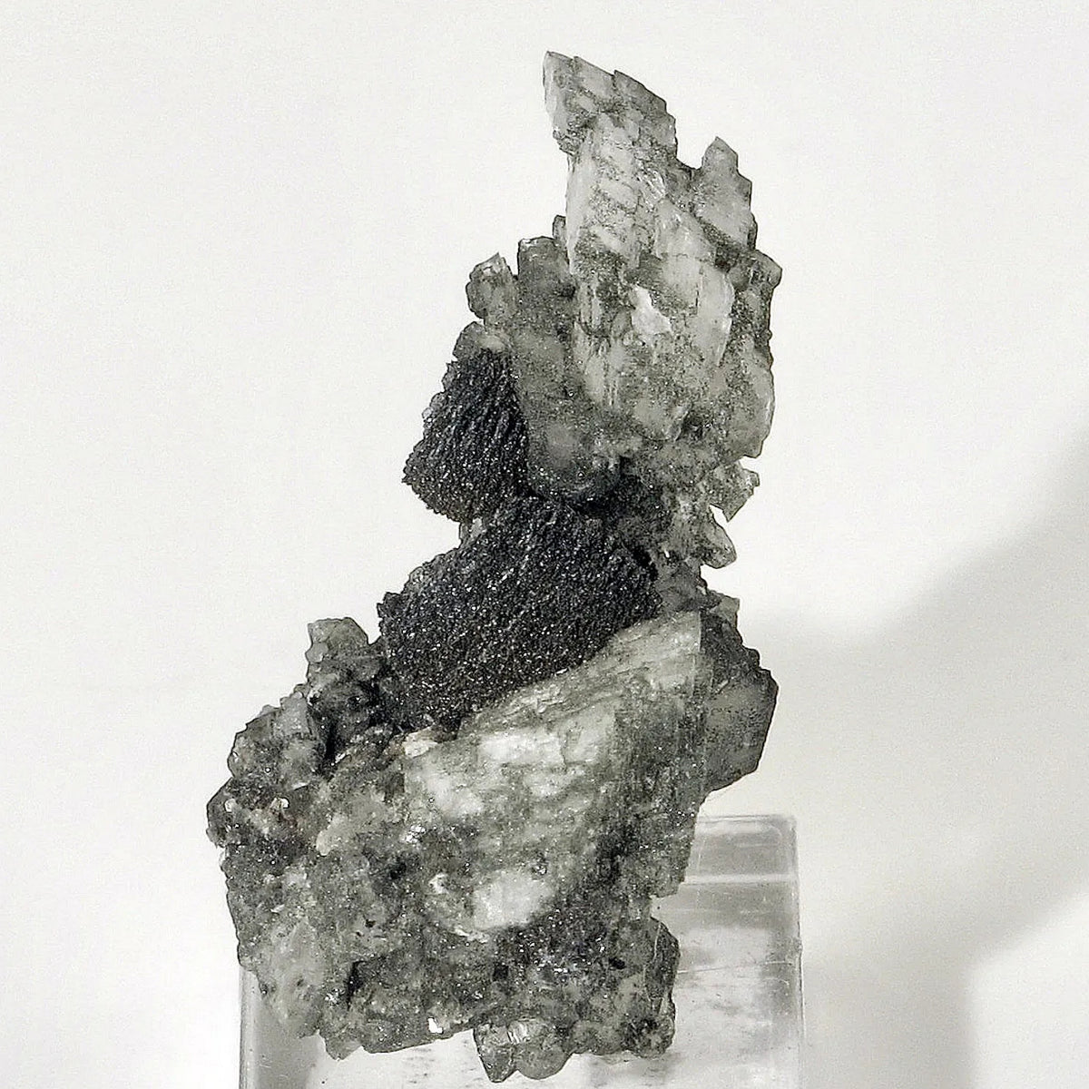 Hematite Roses with Adularia (Swiss Alps)