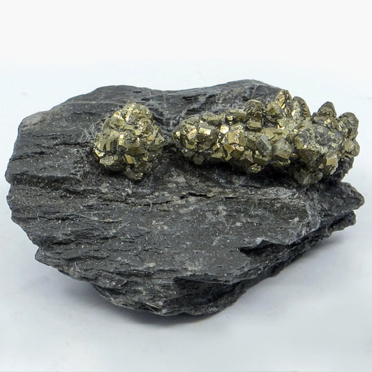 Marcasite Conglomerate on Matrix (Swiss Alps)
