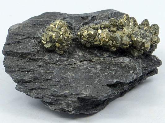 Marcasite Conglomerate on Matrix (Swiss Alps)